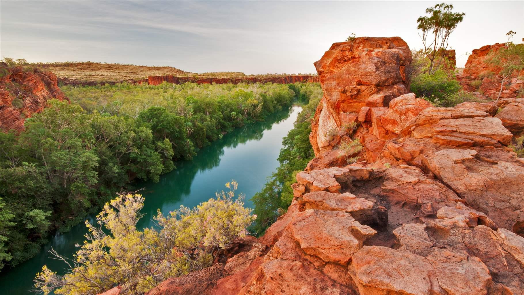 Scraping Stock Purchase Filings from the House of Representatives